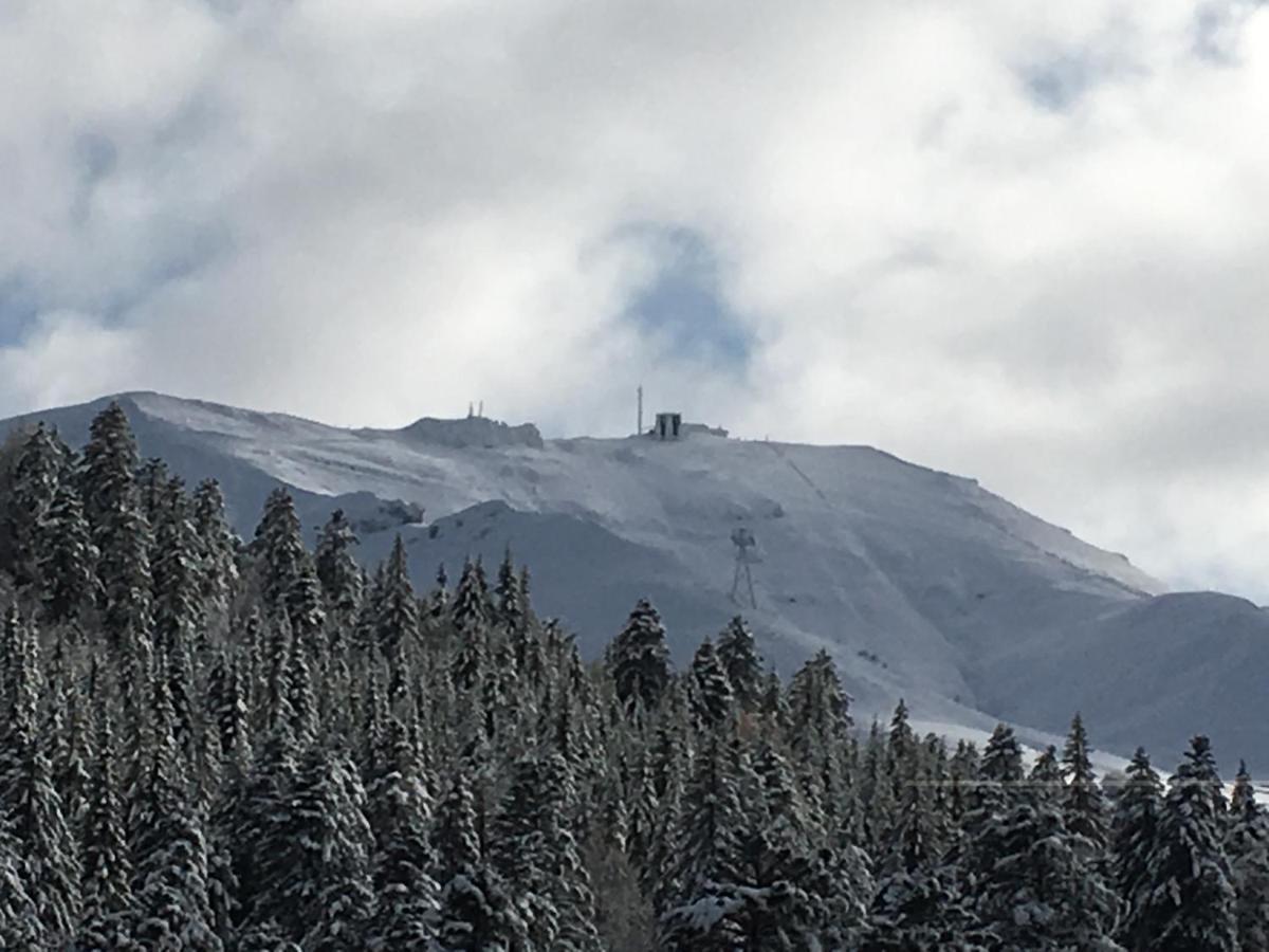 Le Lioran Studio Les Myrtilles A 200M Des Pistes Bagian luar foto