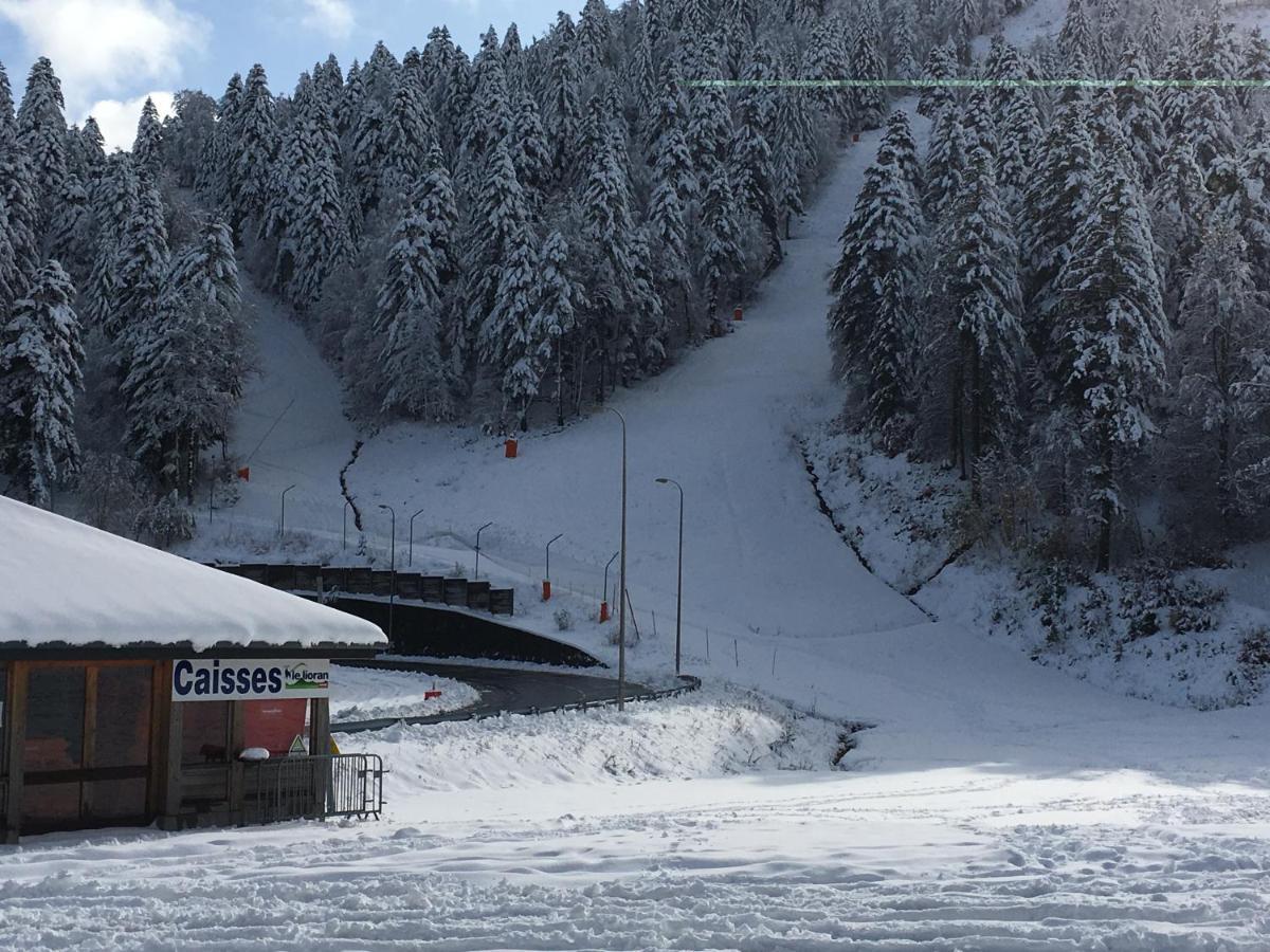 Le Lioran Studio Les Myrtilles A 200M Des Pistes Bagian luar foto