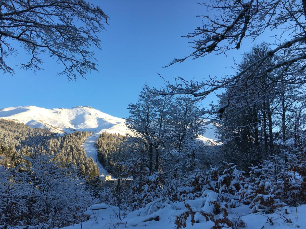 Le Lioran Studio Les Myrtilles A 200M Des Pistes Bagian luar foto
