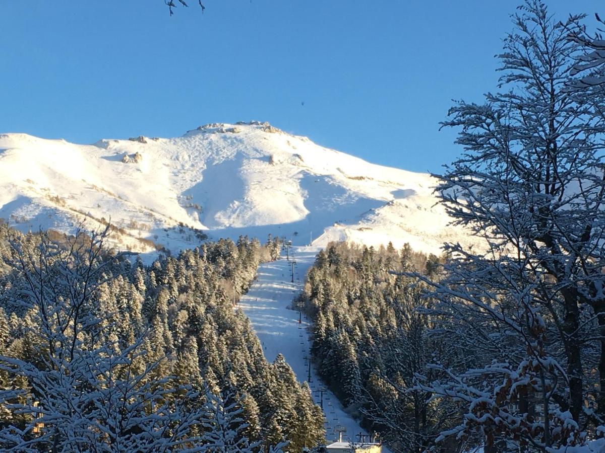 Le Lioran Studio Les Myrtilles A 200M Des Pistes Bagian luar foto