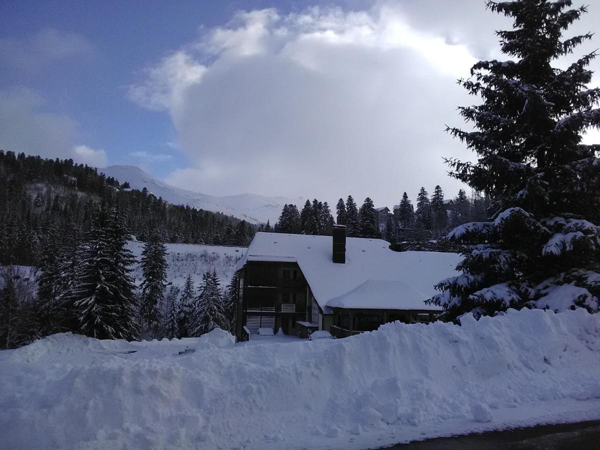 Le Lioran Studio Les Myrtilles A 200M Des Pistes Bagian luar foto