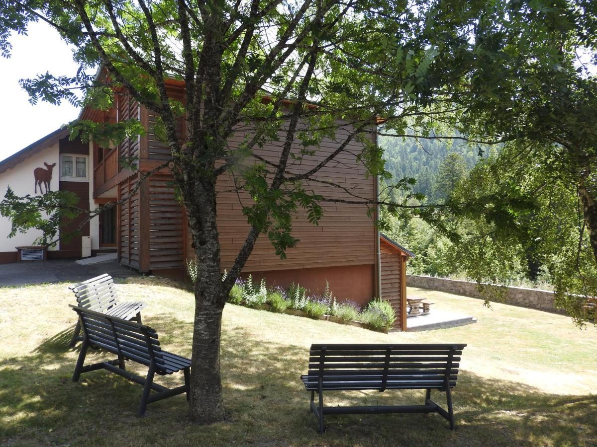 Le Lioran Studio Les Myrtilles A 200M Des Pistes Bagian luar foto